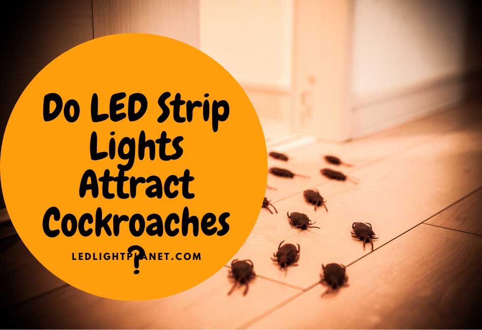 do led strip lights attract cockroaches