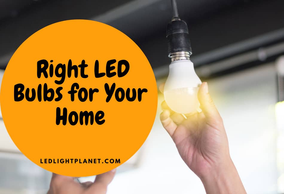 Choosing the Right LED Bulbs for Your Home: A Comprehensive Guide