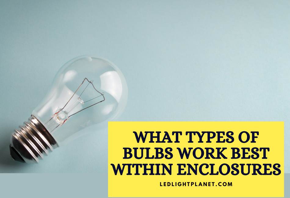 what-types-of-bulbs-work-best-within-enclosures